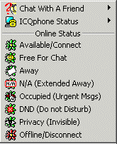 The ICQ Status Options